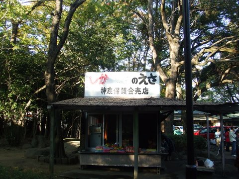 三嶋大社の神鹿園1